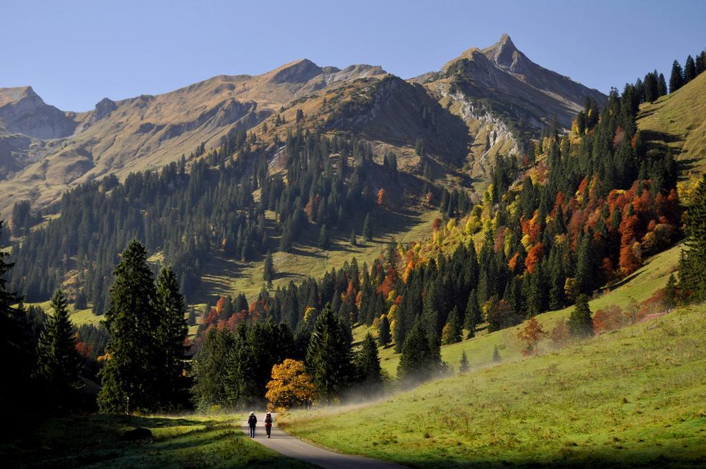 Sonnenpark, Ihr Bett Im Allgaeu Bad Hindelang Luaran gambar